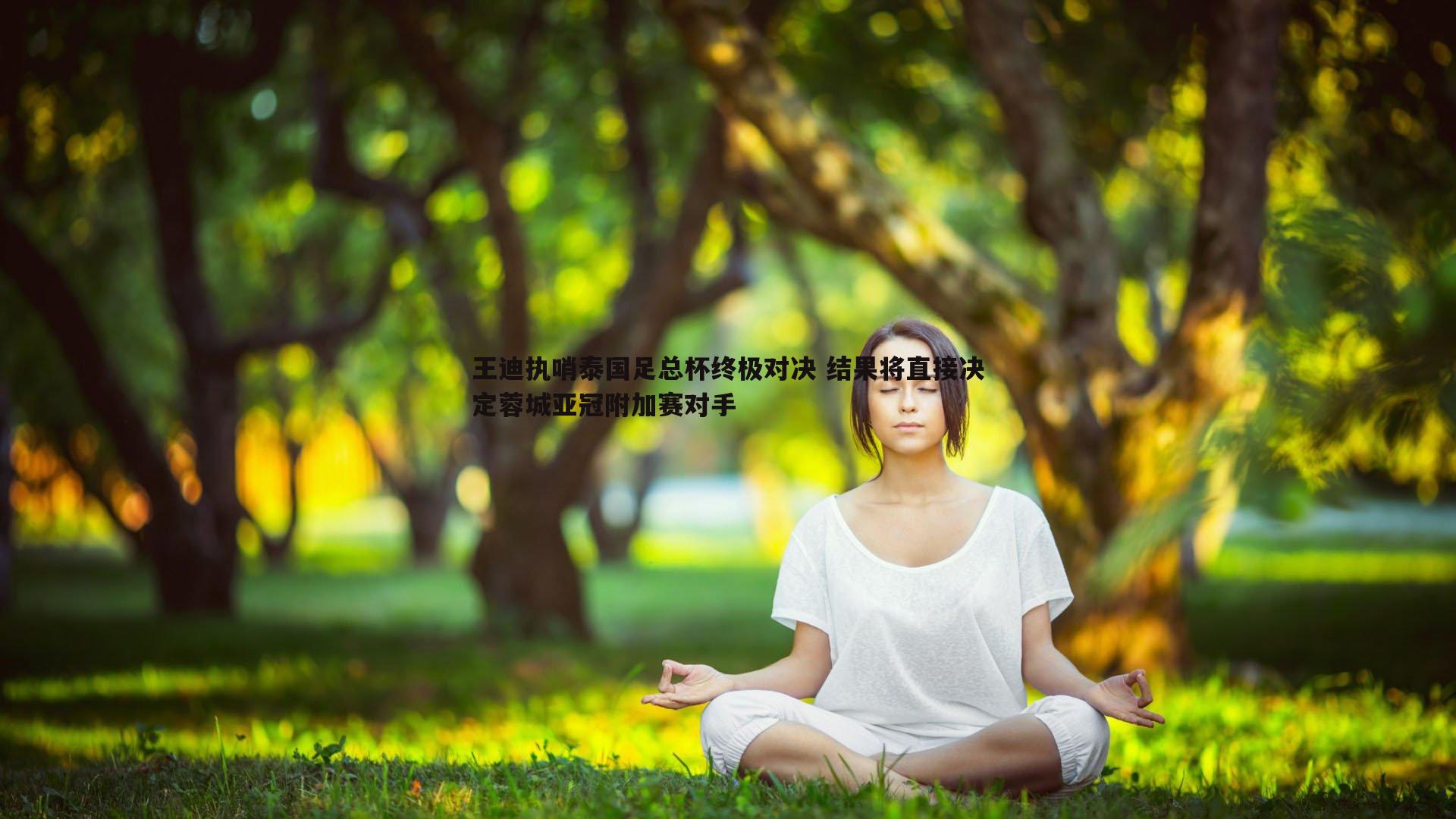 王迪执哨泰国足总杯终极对决 结果将直接决定蓉城亚冠附加赛对手